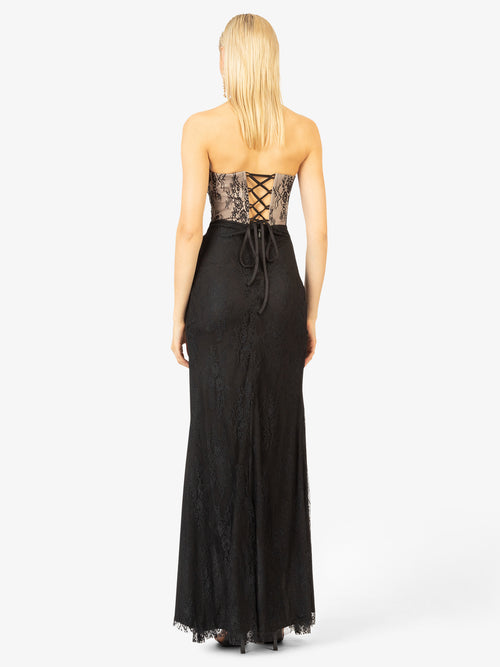 Model_Back;22069