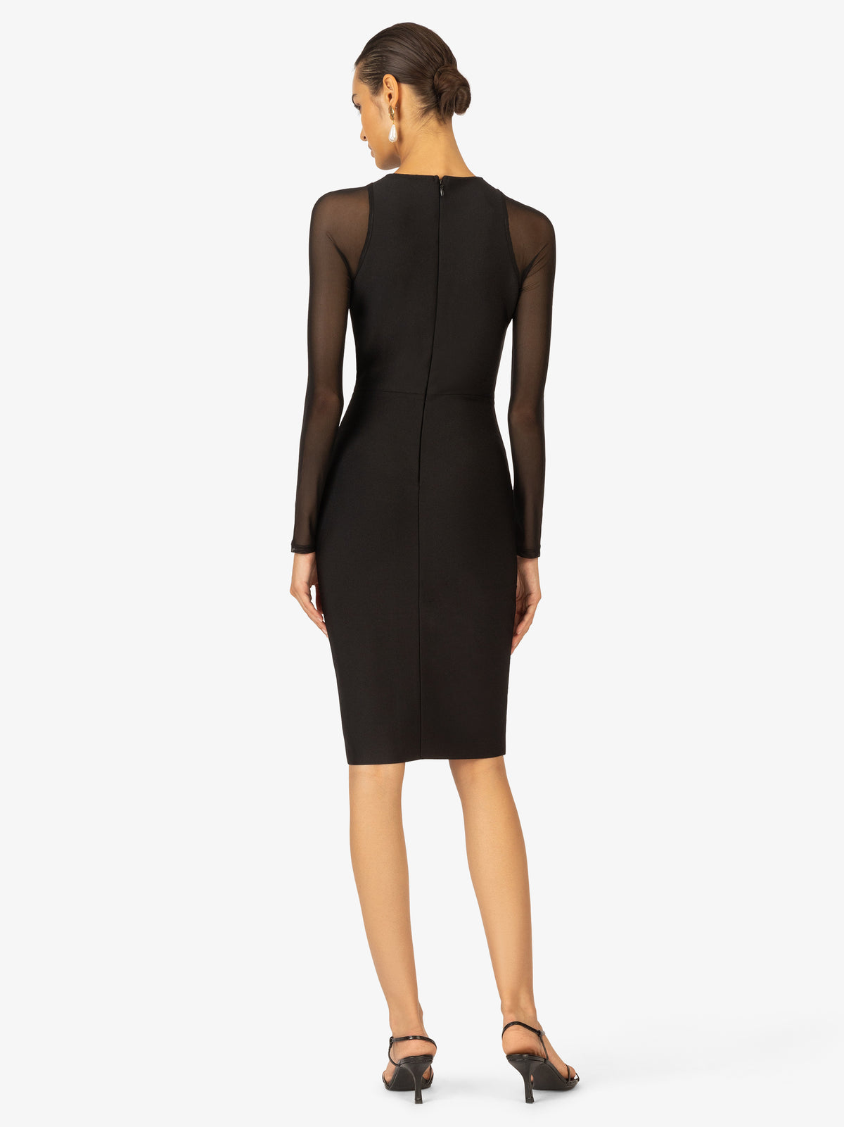 Model_Back;37041