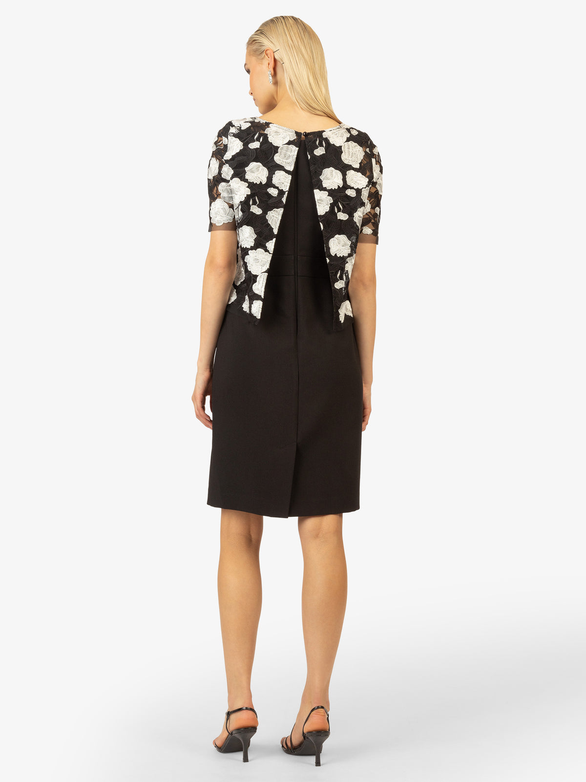 Model_Back;24158