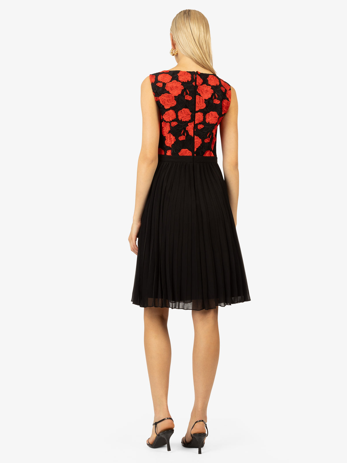 Model_Back;56097