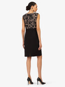 Model_Back;49795