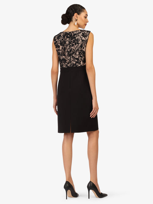 Model_Back;49795