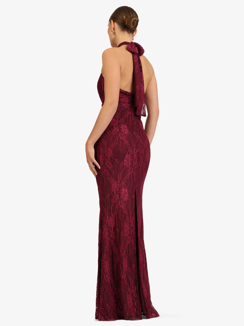 Model_Back;56539