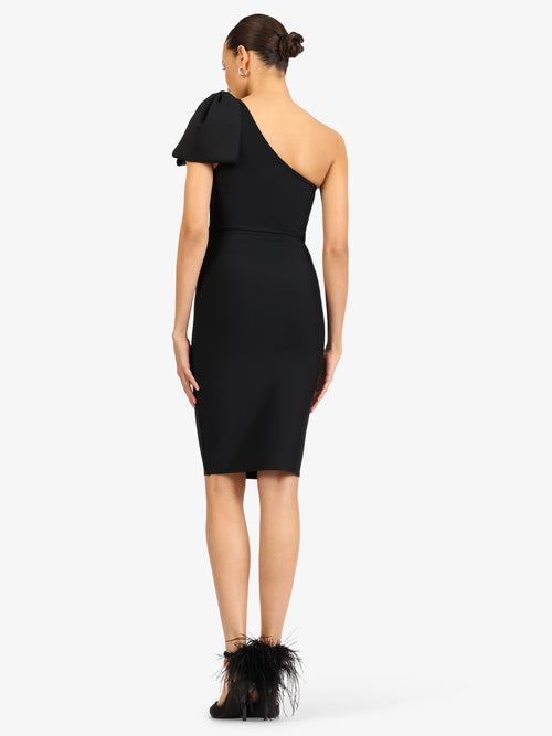 Model_Back;45769