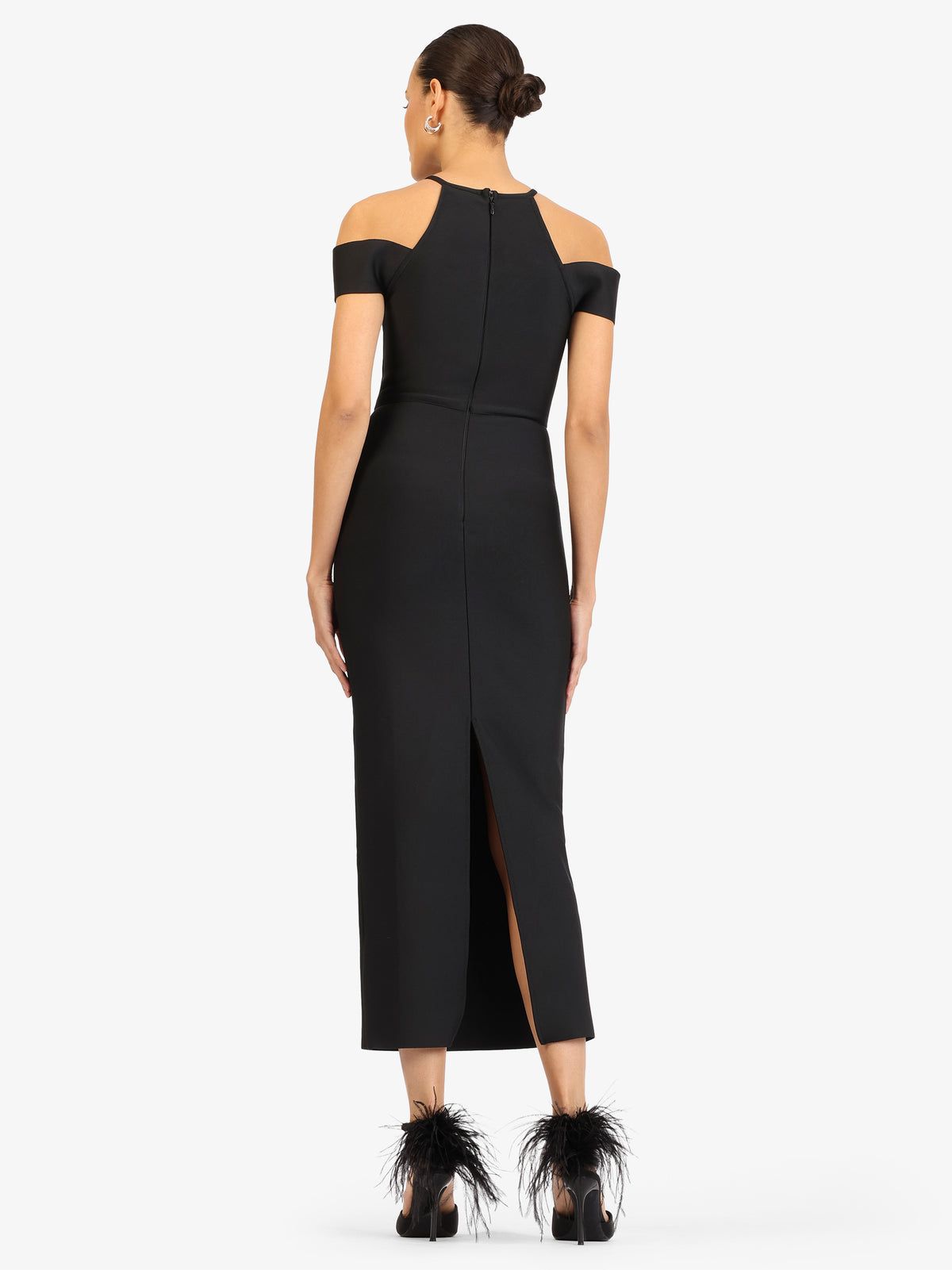 Model_Back;51255