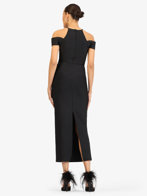 Model_Back;51255