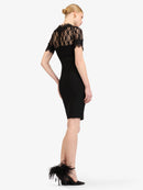 Model_Back;63971