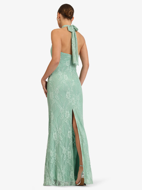Model_Back;39690