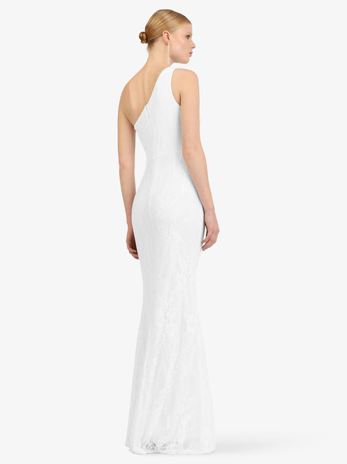 Model_Back;59625