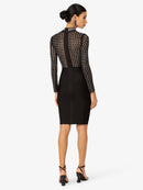 Model_Back;58012