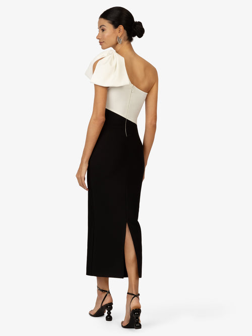 Model_Back;43097