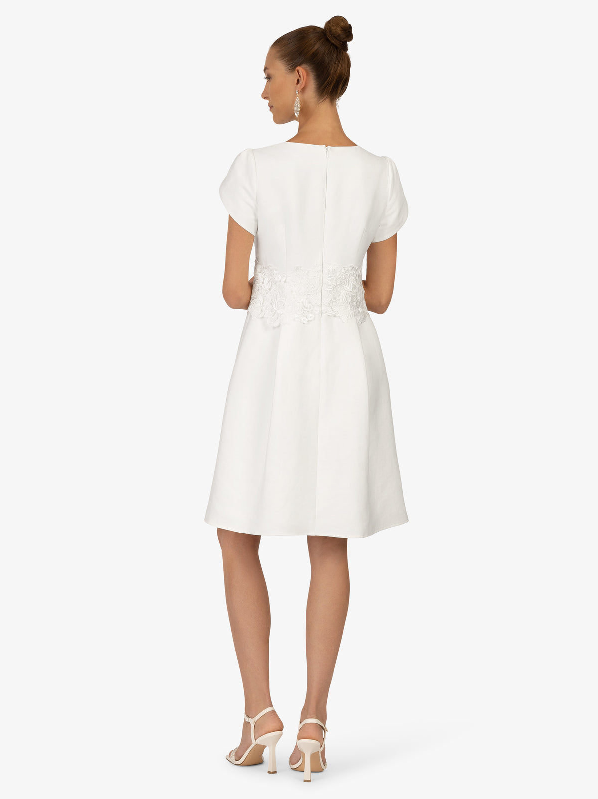 Model_Back;65585