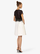 Model_Back;27976