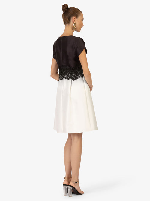 Model_Back;27976