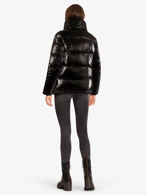 Model_Back;72836