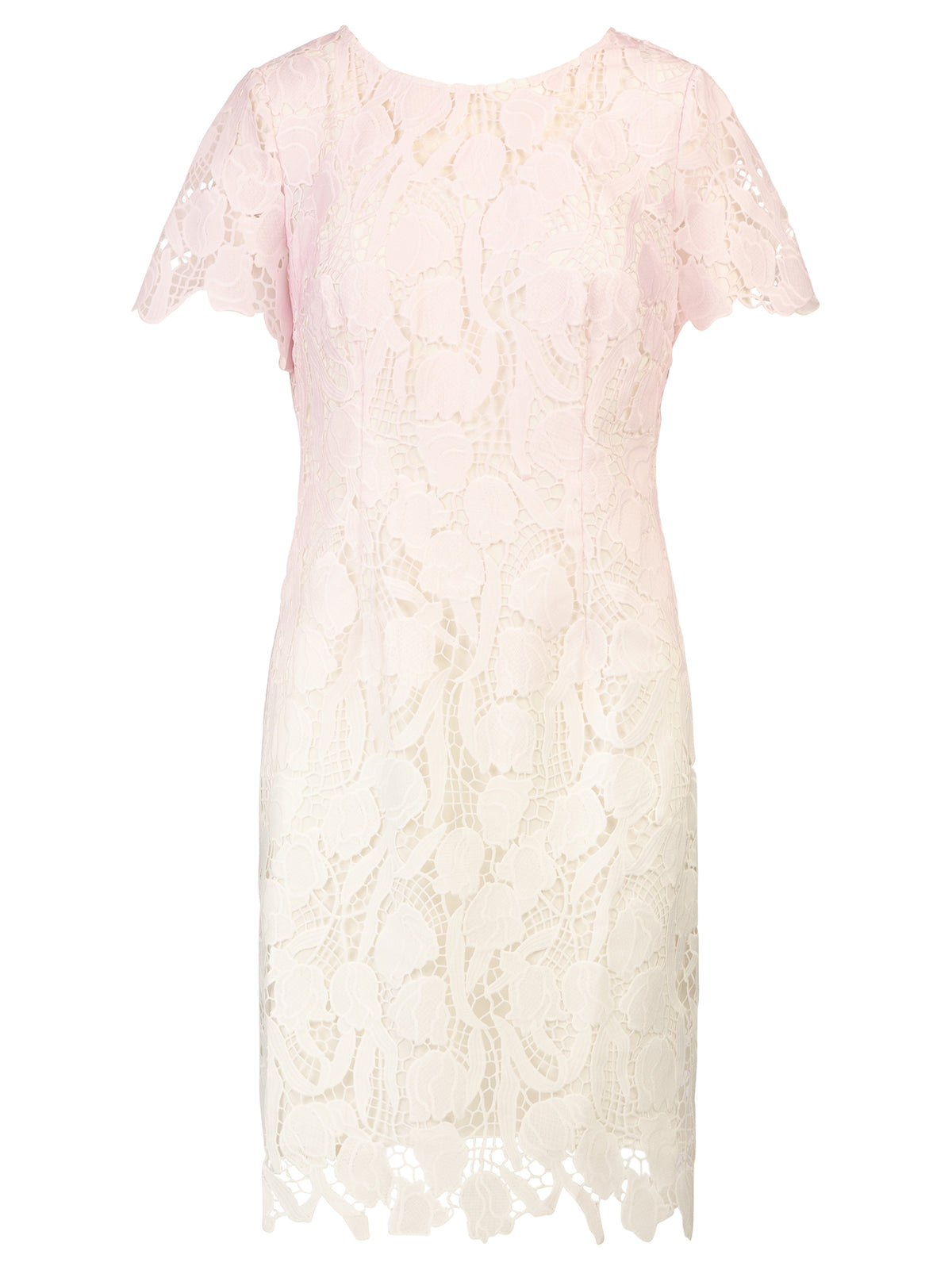 Product_Front;49445