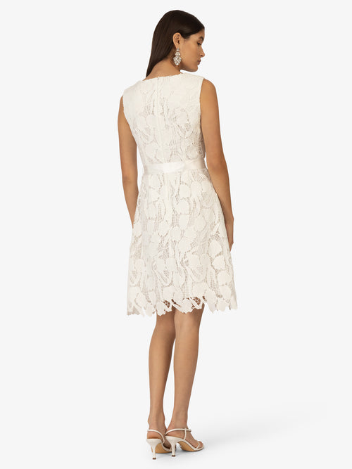 Model_Back;22077