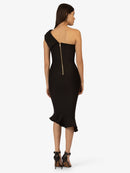 Model_Back;20384