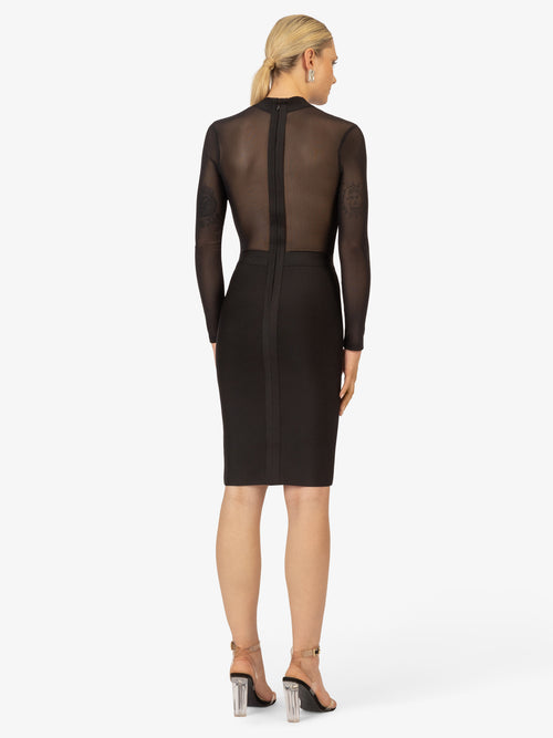 Model_Back;43344
