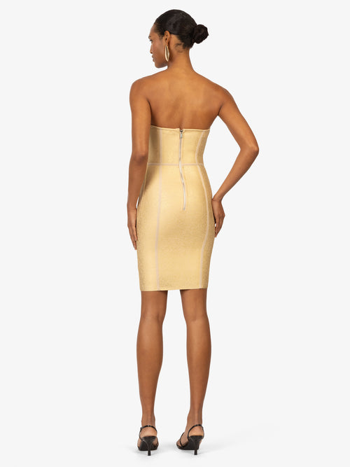 Model_Back;33830