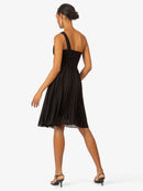 Model_Back;68154